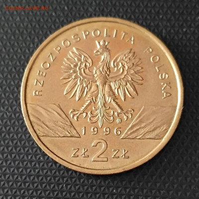 ПОЛЬША,2 злотых 1996г(Ёж)до 9.12.2019г - IMG_20191208_104125