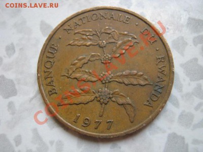 Руанда 5 франков 1977  до 09.08 в 21.00 М - IMG_0049