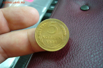 5 копеек 1936 - 12-12-19 - 23-10 мск - P2180559.JPG