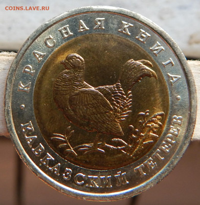 КК 1993г. 50р. Тетерев - DSCN2879.JPG