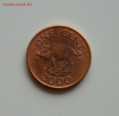 Бермудские острова 1 цент 2000 г. (Фауна). до 12.12.19 - DSCN9984.JPG