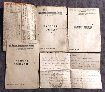 Обмен документами периода СССР - паспорт лошади (1)