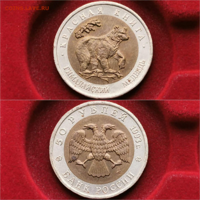 Красная книга 1993 ГималайскийМедведь в коллекцию До16.12 N2 - IMG_20191204_213420