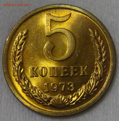 5 копеек 1973 "Мешковая" Яркая до 14.12.19 (сб. 22-30) - DSC00360.JPG