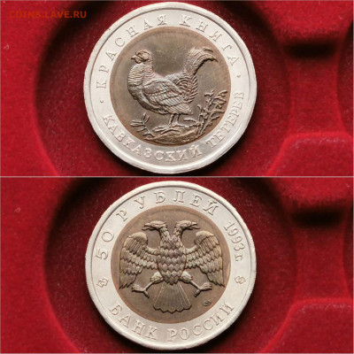 Красная книга 50р 1993. Кавказский Тетерев. До 16.12. N3 - IMG_20191204_213328
