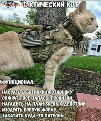 юмор - MWdXhRIv_BY