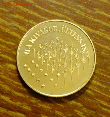 ВЕНГРИЯ - 100ф Развитие лесного хозяйства до 17.12, 22.00 - Венгрия - 100ф Развитие лесного хозяйства1