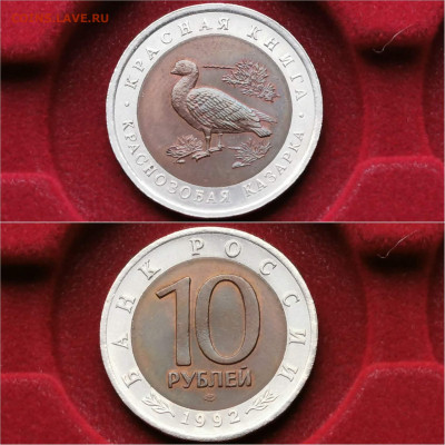 Красная книга 10р 1992. Казарка. В коллекцию. До 16.12 - IMG_20191204_213324