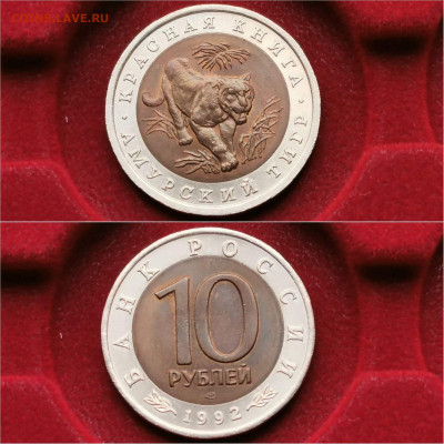 Красная книга 10р 1992. Амурский Тигр в КОЛЛЕКЦИЮ. До 16.12 - IMG_20191204_213319