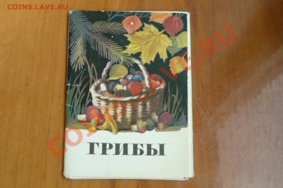 Открытки Грибы,Шишкин. - Грибы.JPG