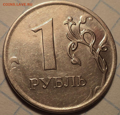 РАЗНОВИДНОСТИ  от  СЛФ - DSC02006.JPG