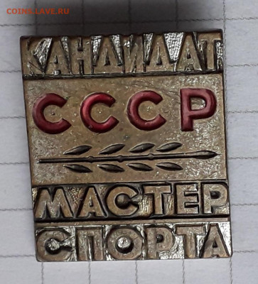 Кандидат мастер спорта до 17-12-2019 до 22-00 по Москве - КМС А