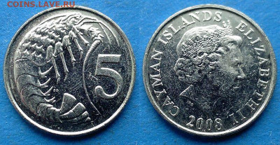 Каймановы острова - 5 центов 2008 года (Фауна) до 19.12 - Каймановы острова 5 центов, 2008