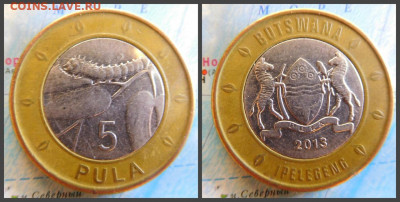 Ботсвана 5 пул, 2013 БИМ - 25