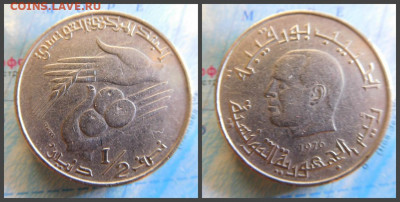 Тунис ½ динара, 1976 - 27