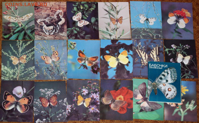 Набор открыток "Бабочки Закавказья" - бабочк закавказья 1988.JPG