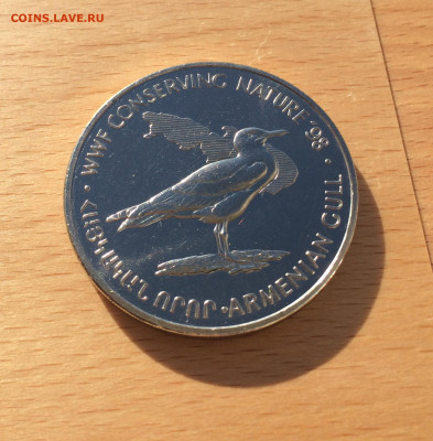 Крона Шайба Армения 100 драм 1998 Армянская Чайка Птицы WWF - IMG_8169.JPG