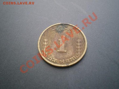 ПАКИСТАН 1 ПАЙС КОЛОСЬЯ до 10.08.11 в 22.00 - IMGP0116.JPG