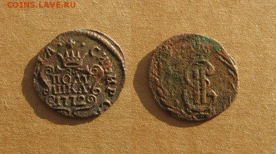 Полушка 1772 КМ сибирская до 16.12.19 - 1772_ПолушкаСиб-400