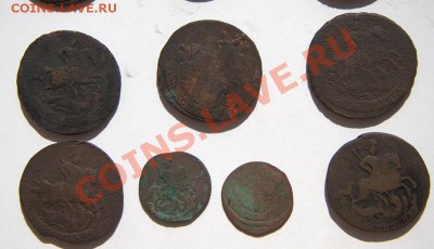 двушки лизы-катипогодовукадо 22-10 13 августа - IMG_8762.CR2