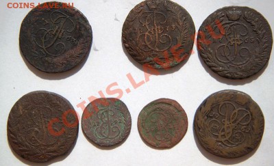 двушки лизы-катипогодовукадо 22-10 13 августа - IMG_8760.CR2