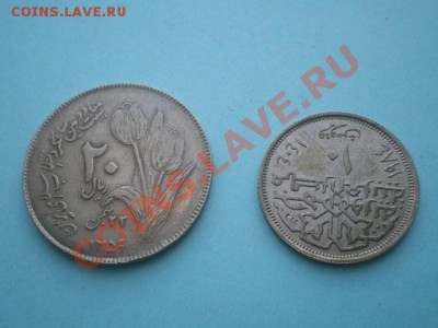 Монеты с ТЮЛЬПАНОМ и ДВОРЦОМ - IMGP0138.JPG