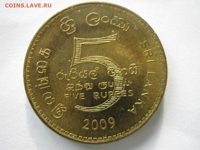 Шри-Ланка 5 рупий 2009 сингальский лев до 21.12. 22:00 - IMG_5715_1.JPG