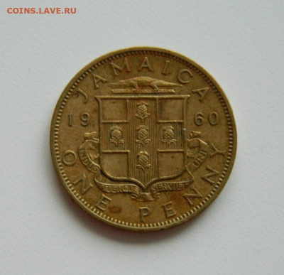 Британская Ямайка 1 пенни 1960 г. до 19.12.19 - DSCN9886.JPG
