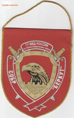 вымпел ГУ МВД РФ по Краснодарскому краю СОБР Беркут до 20.12 - IMG_20191129_0027