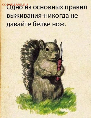 юмор - n_pNVkt2kIE