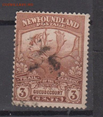 Колонии 1919 Ньюфаундленд 1м 3ц до 22 12 - 849