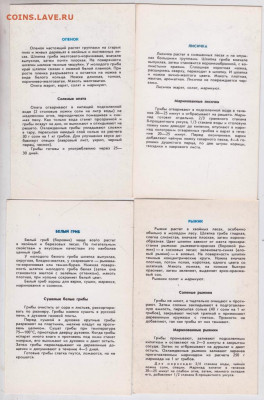 Грибы набор 12 открыток 1991 г. до 24.12..19 г. в 23.00 - 007