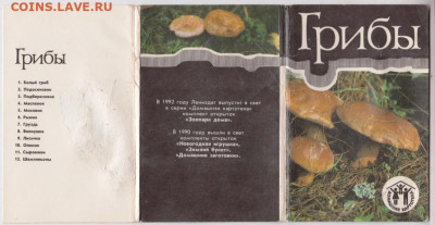Грибы набор 12 открыток 1991 г. до 24.12..19 г. в 23.00 - 006
