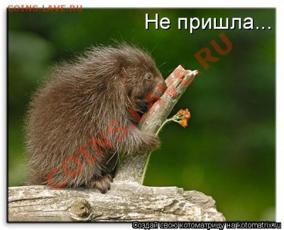 denis64 с днем рождения!!! - 324352