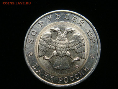 5 руб 1991 - Винторогий козел - белая вставка - DSC02053.JPG