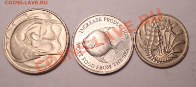Сингапур с рыбами 3шт., отл. качество - DSC09760.JPG