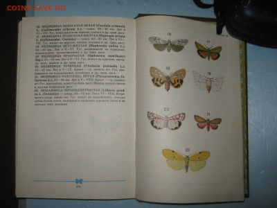 Атлас-определитель бабочек. До 24 12 2019 - IMG_1857.JPG
