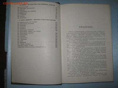 Атлас-определитель бабочек. До 24 12 2019 - IMG_1855.JPG
