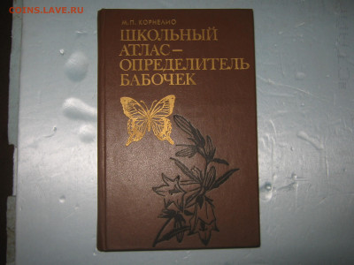 Атлас-определитель бабочек. До 24 12 2019 - IMG_1853.JPG