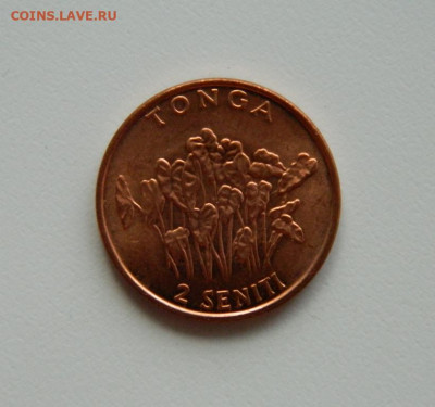 Тонга 2 сенити 2002 г.(без обращения) до 23.12.19 - DSCN9983.JPG