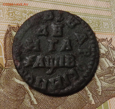 Денга 1712 г. АЛЕЗIЕВIЧЬ на оценку. - 5