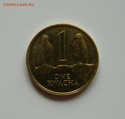 Замбия 1 квача 1992 г. (фауна)без обращения до 23.12.19 - DSCN9979.JPG
