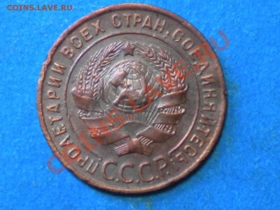 1коп.1924г. Определить шт. - RSCN4191