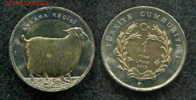 1 лира 2015 Турция Ангорская коза до 27.12.19 в 22.00 мск - img948