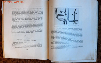 И.В. Мичурин "Итоги шестидесятилетних работ". 1949г. - SAM_6316_новый размер.JPG