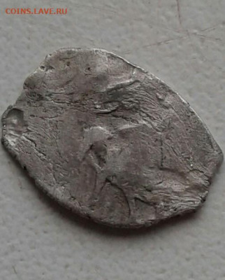 чешуйка. До 27.12.19  22:00 - image