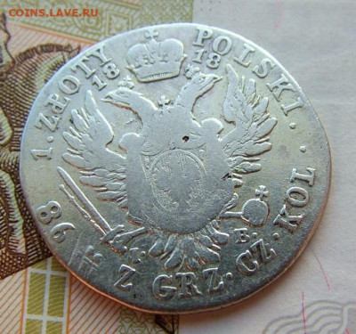 Злотые, ливонезы уставшие оценка - DSCF1987.JPG