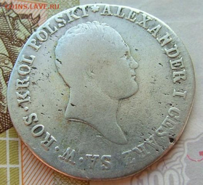 Злотые, ливонезы уставшие оценка - DSCF1985.JPG
