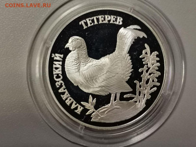 1р 1995г Тетерев пруф серебро Ag900, до 29.12 - Y Тетерев-1