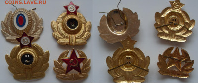 №3 - SDC14445.JPG